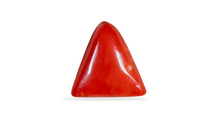 Italian Red Coral 6.30 Carats / 6.92 Ratti