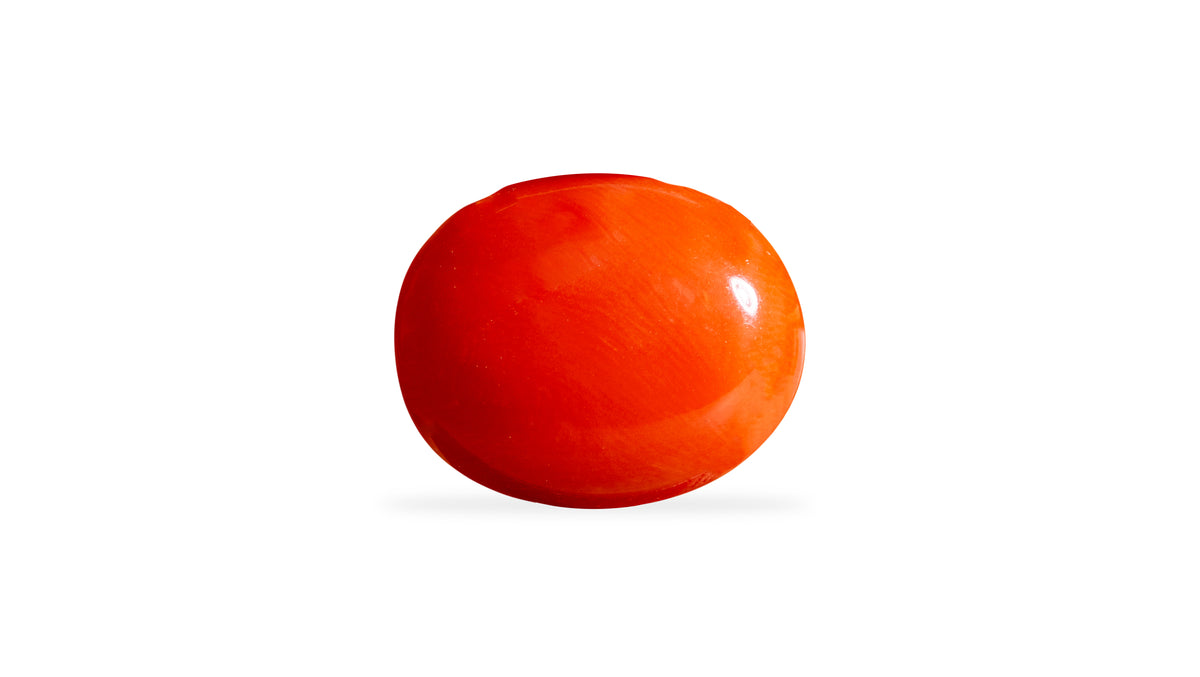Japanese Red Coral 6.47 Carats / 7.11 Ratti