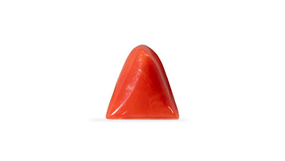 Italian Red Coral 5.53 Carats / 6.08 Ratti