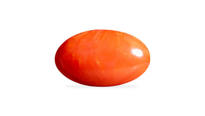 Japanese Red Coral 7.20 Carats / 7.91 Ratti