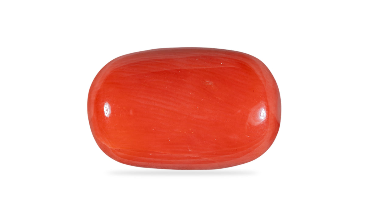 Italian Red Coral 12.59 Carats / 13.84 Ratti