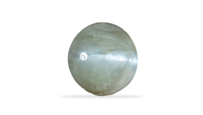 Cat's Eye (Lehsuniya) 7.64 Carats / 8.4 Ratti