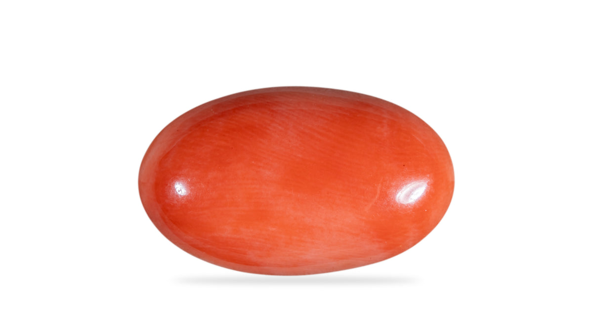 Japanese Red Coral 12.11 Carats / 13.31 Ratti
