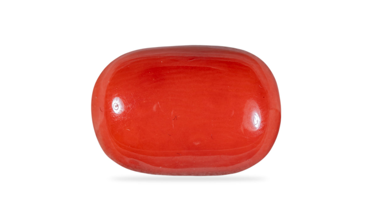 Italian Red Coral 12.63 Carats / 13.88 Ratti