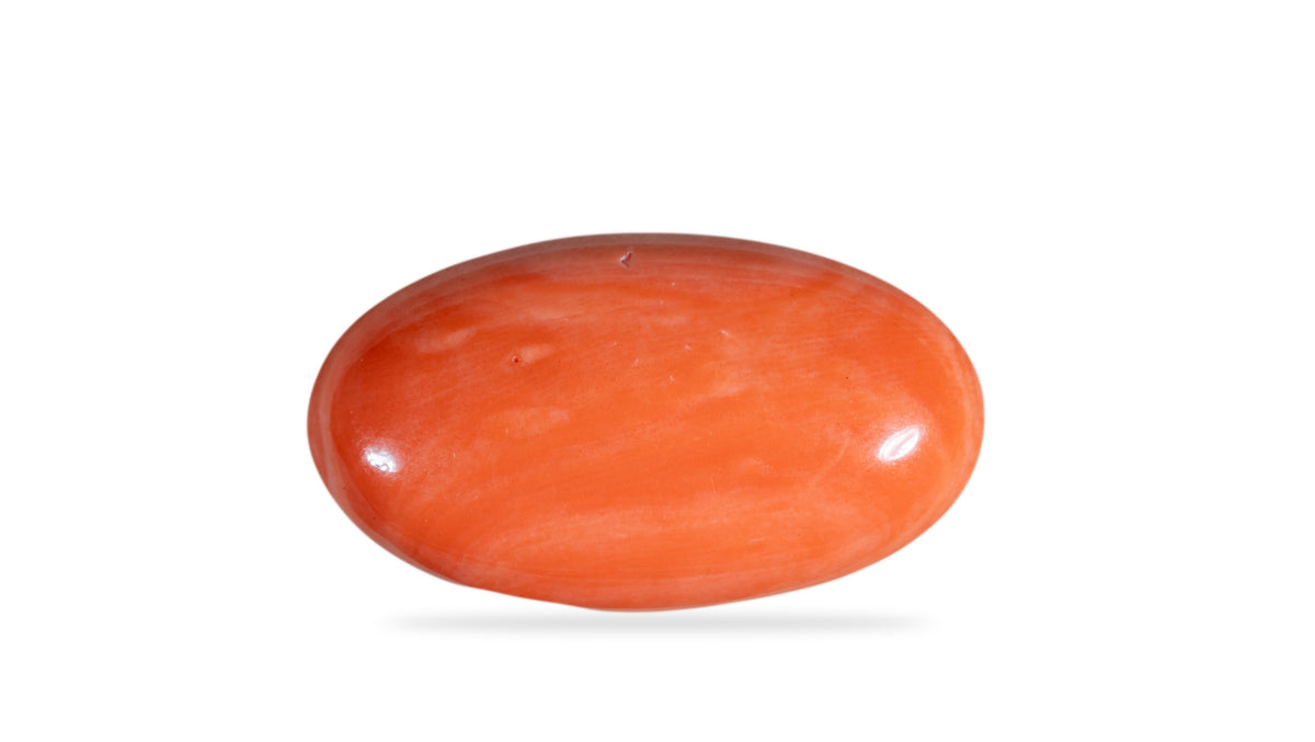 Japanese Red Coral 23.92 Carats / 26.29 Ratti