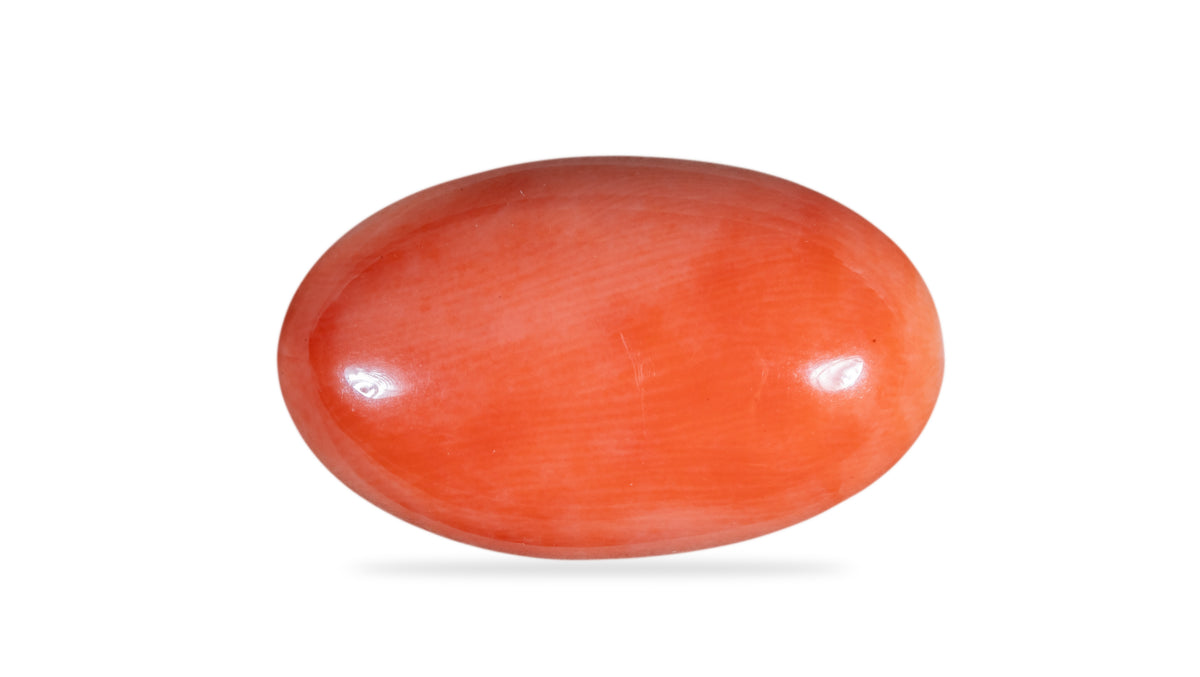 Japanese Red Coral 12.18 Carats / 13.38 Ratti
