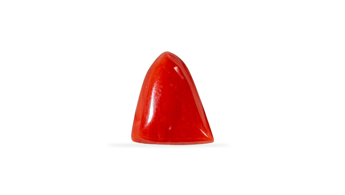 Italian Red Coral 6.05 Carats / 6.65 Ratti