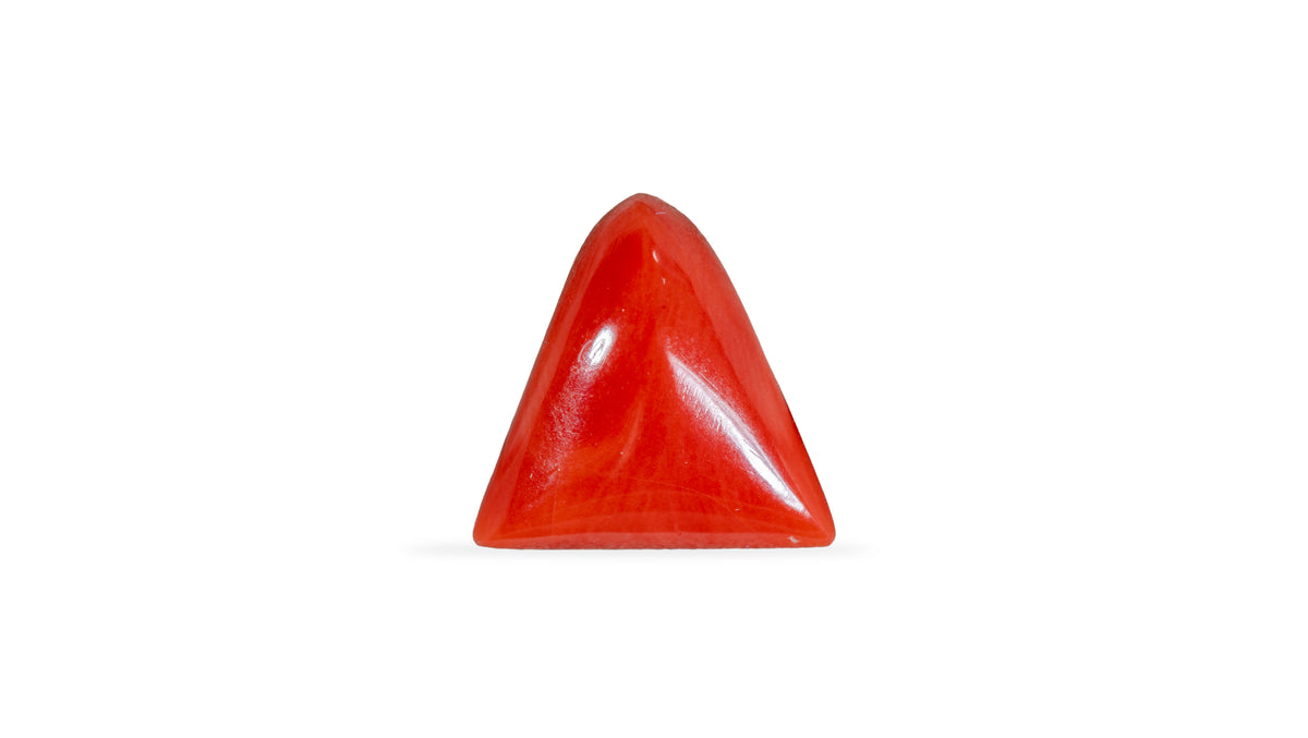 Italian Red Coral 5.23 Carats / 5.75 Ratti