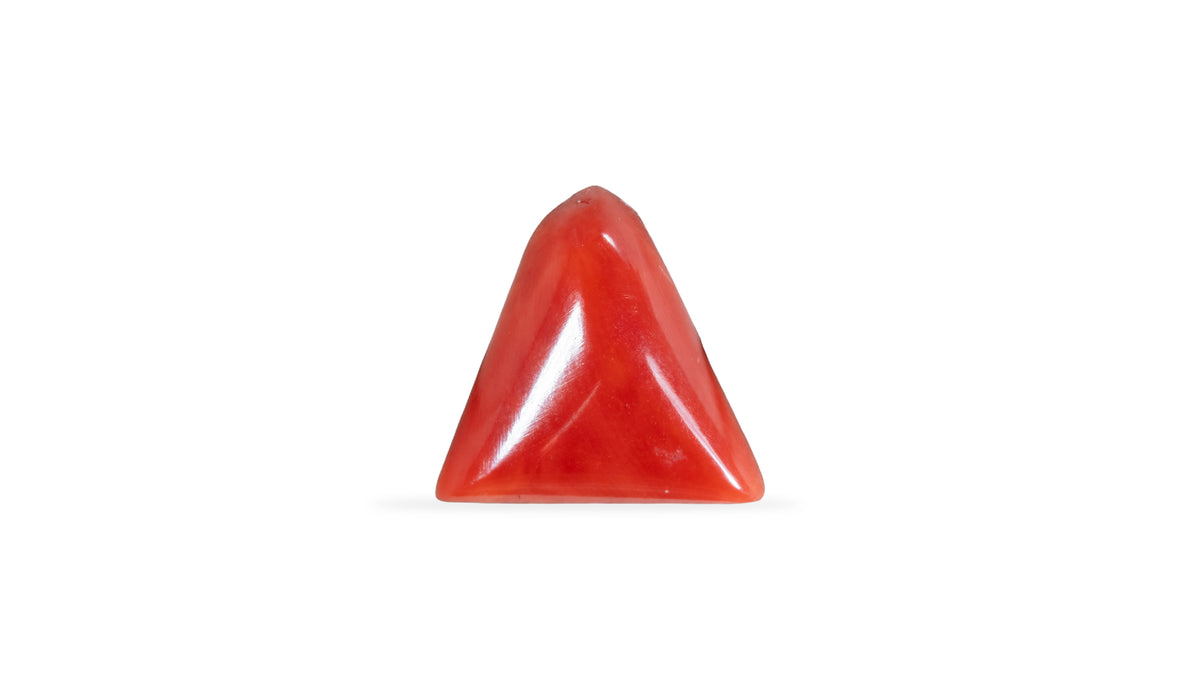 Italian Red Coral 5.04 Carats / 5.54 Ratti