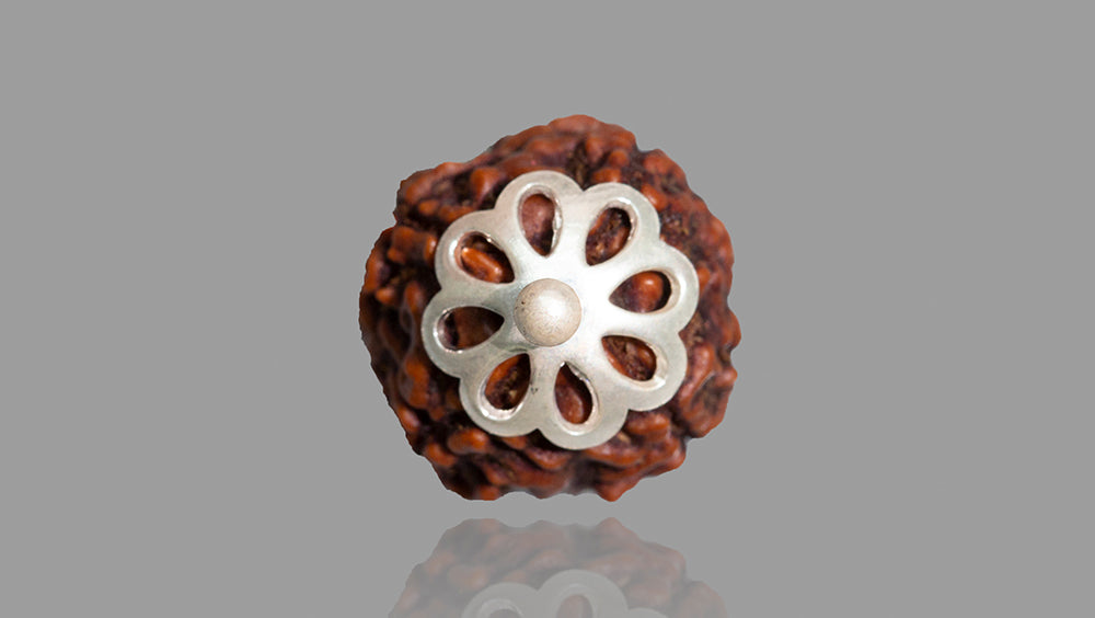 4 MUKHI RUDRAKSHA (20.01mm)