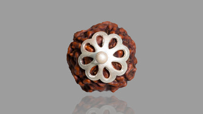 4 MUKHI RUDRAKSHA (20.01mm)