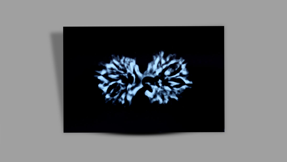 12 MUKHI GAURI SHANKAR RUDRAKSHA (35.72 mm)