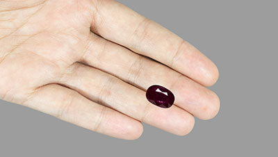 Mozambique Ruby (Manik) 2.69 Carats / 2.96 Ratti