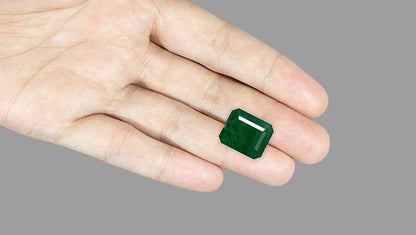 Zambian Emerald (Panna) 11.58 Carats / 12.73 Ratti