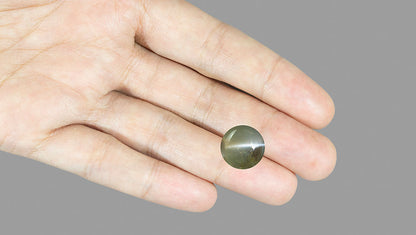 Cat's Eye (Chrysoberyl) 9.67 Carats / 10.63 Ratti