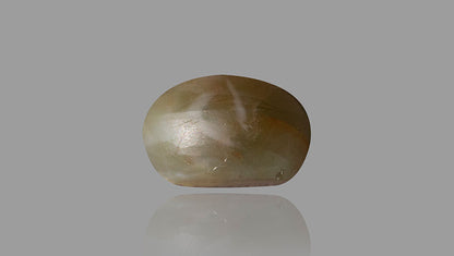 Cat's Eye (Chrysoberyl) 10.13 Carats / 11.13 Ratti