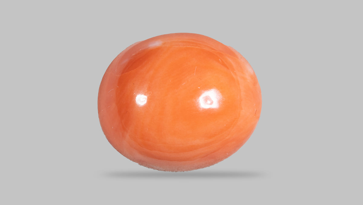 Japanese Red Coral 14.53 Carats / 15.97 Ratti