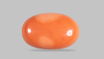 Japanese Red Coral 41.83 Carats / 45.97 Ratti