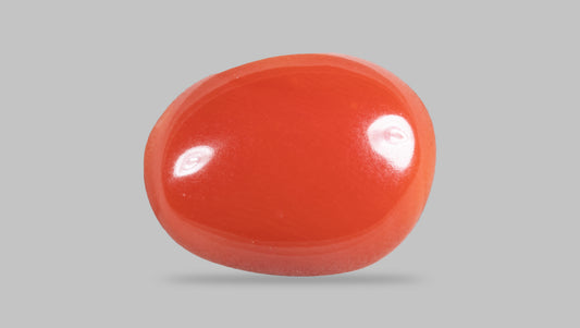 Japanese Red Coral 5.24 Carats / 5.76 Ratti
