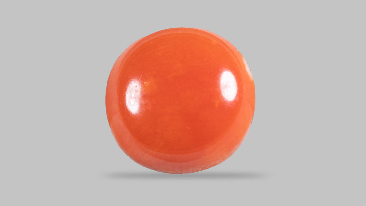 Japanese Red Coral 4.69 Carats / 5.15 Ratti