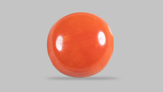 Japanese Red Coral 4.69 Carats / 5.15 Ratti