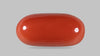 Italian Red Coral 11.66 Carats / 12.81 Ratti