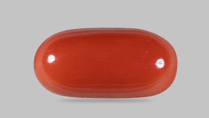 Italian Red Coral 11.66 Carats / 12.81 Ratti