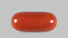Italian Red Coral 14.19 Carats / 14 Ratti