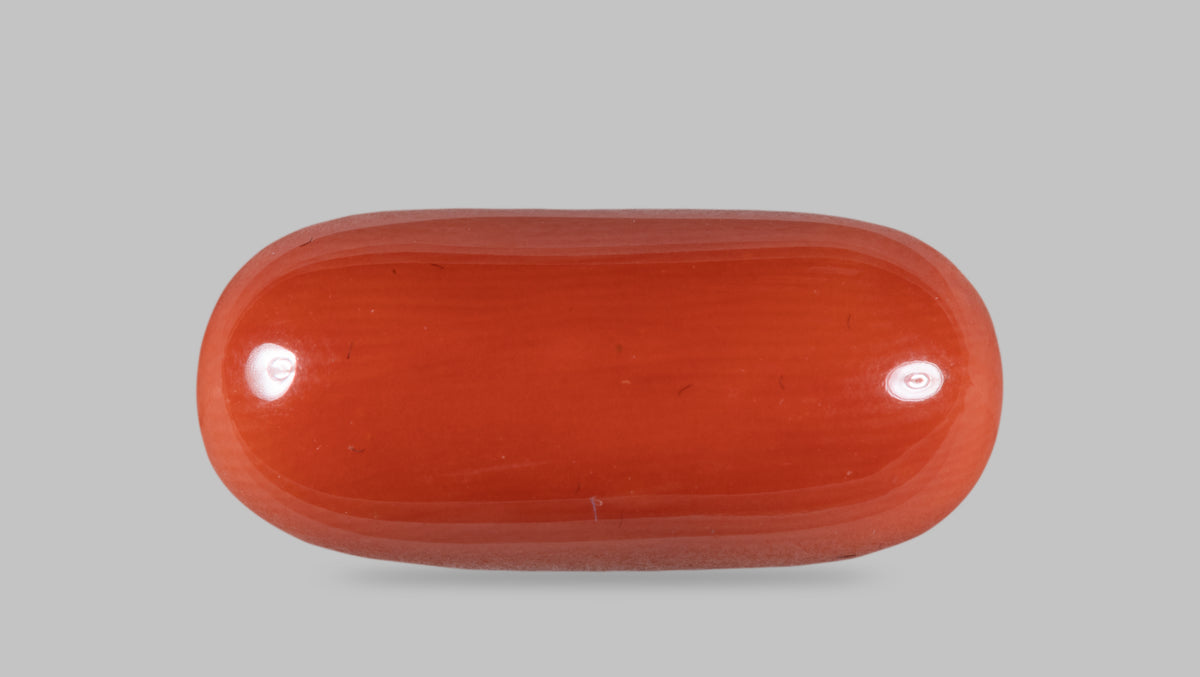 Italian Red Coral 14.19 Carats / 14 Ratti