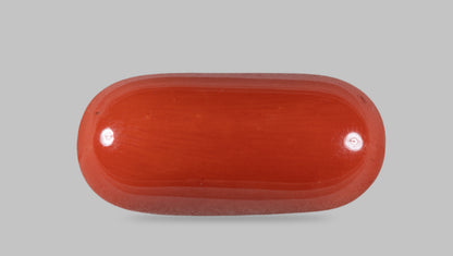 Italian Red Coral 14.19 Carats / 15.59 Ratti
