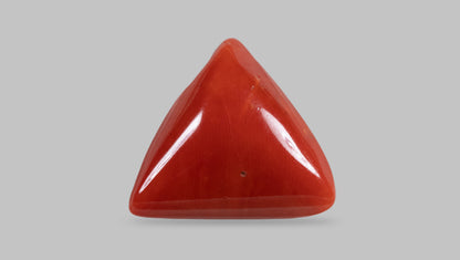 Italian Red Coral 18.05 Carats / 19.84 Ratti