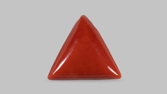 Italian Red Coral 16.46 Carats / 18.09 Ratti