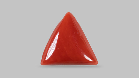 Italian Red Coral 14.05 Carats / 15.44 Ratti