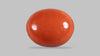 Japanese Red Coral 4.65 Carats / 5.11 Ratti
