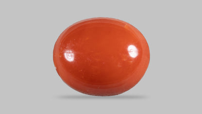 Japanese Red Coral 4.65 Carats / 5.11 Ratti
