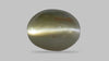 Cat's Eye (Lehsuniya) 9.52 Carats / 10.46 Ratti