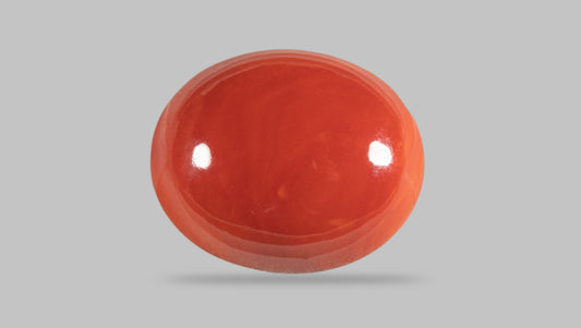 Japanese Red Coral 29.31 Carats / 32.21 Ratti