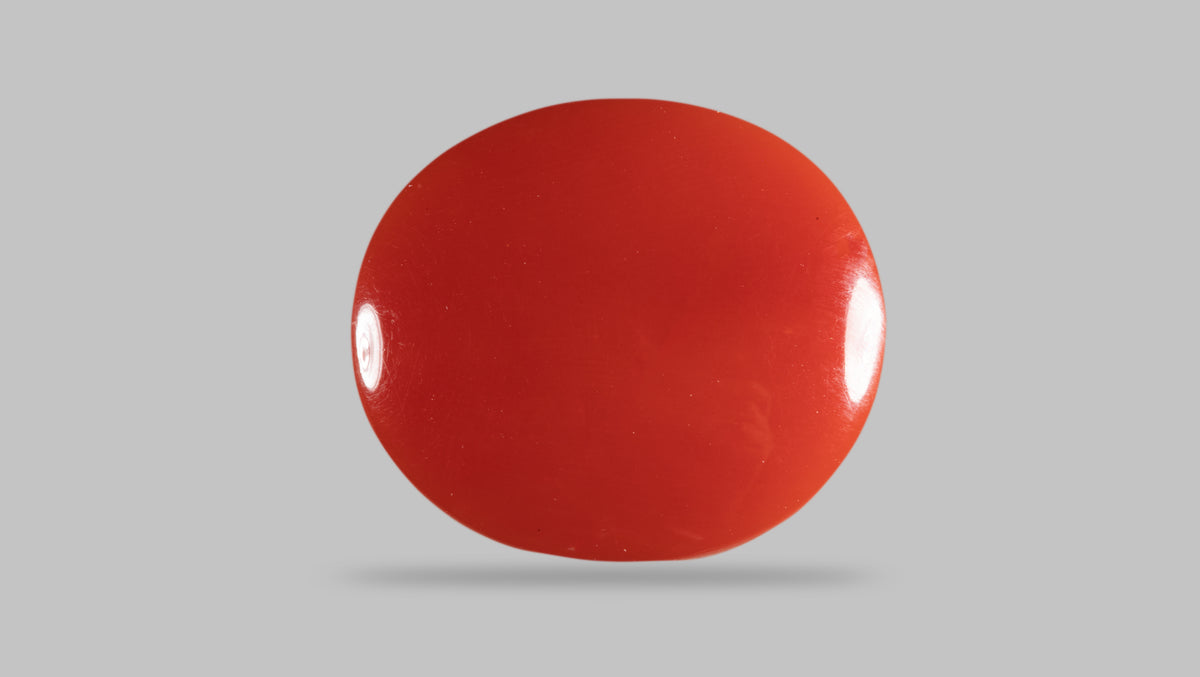 Japanese Red Coral 12.81 Carats / 14.08 Ratti