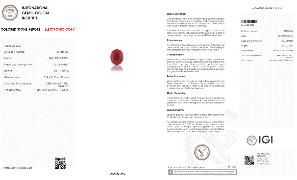 Japanese Red Coral 12.81 Carats / 14.08 Ratti