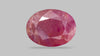 Burmese Ruby (Manik) 10.46 Carats / 11.49 Ratti