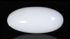 Natural White Coral 12.92 Carats / 14.2 Ratti
