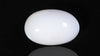 Natural White Coral 7.48 Carats / 8.22 Ratti