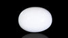 Natural White Coral 11.09 Carats / 12.19 Ratti