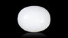 Natural White Coral 12.46 Carats / 13.69 Ratti