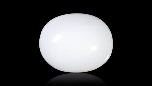 Natural White Coral 12.46 Carats / 13.69 Ratti