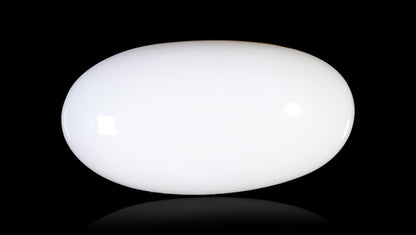 Natural White Coral 9.92 Carats / 10.9 Ratti
