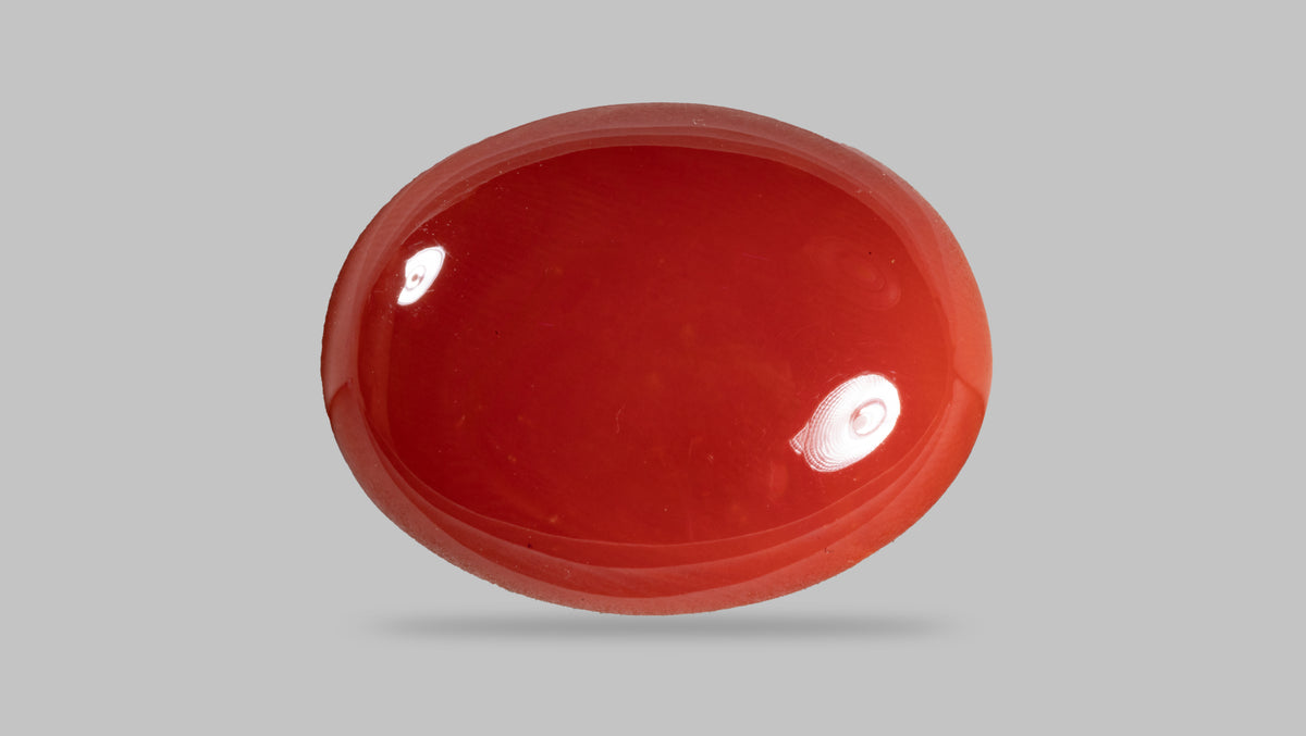 Japanese Red Coral 16.24 Carats / 17.85 Ratti