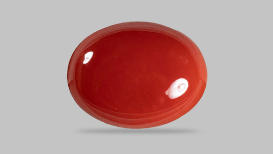 Japanese Red Coral 16.24 Carats / 17.85 Ratti