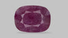 Mozambique Ruby (Manik) 13.14 Carats / 14.44 Ratti