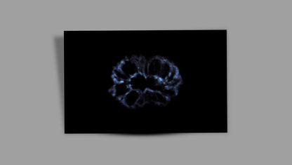 16 MUKHI RUDRAKSHA (25.81 mm)